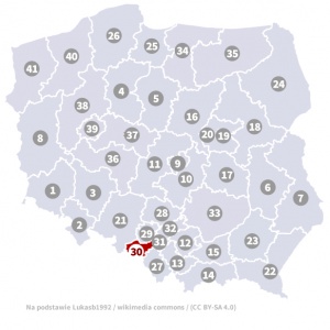 Okręg wyborczy nr 30 (Bielsko-Biała II / Rybnik, śląskie) - wybory 2015
