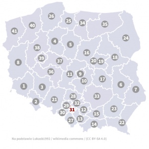 Okręg wyborczy nr 31 (Katowice II, śląskie) - wybory 2015