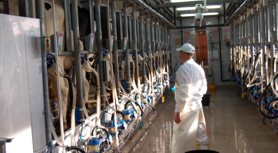 PiS: rząd powinien wepsrzeć producentów mleka