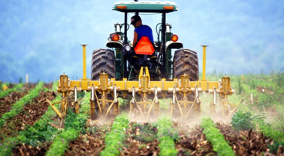 Kowalczyk: PiS zajmie się ustawą dotyczą ziemi i ubezpieczeń w rolnictwie