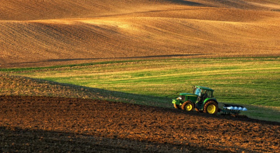 W 2015 sprzedano 77 tys. hektarów ziemi rolnej