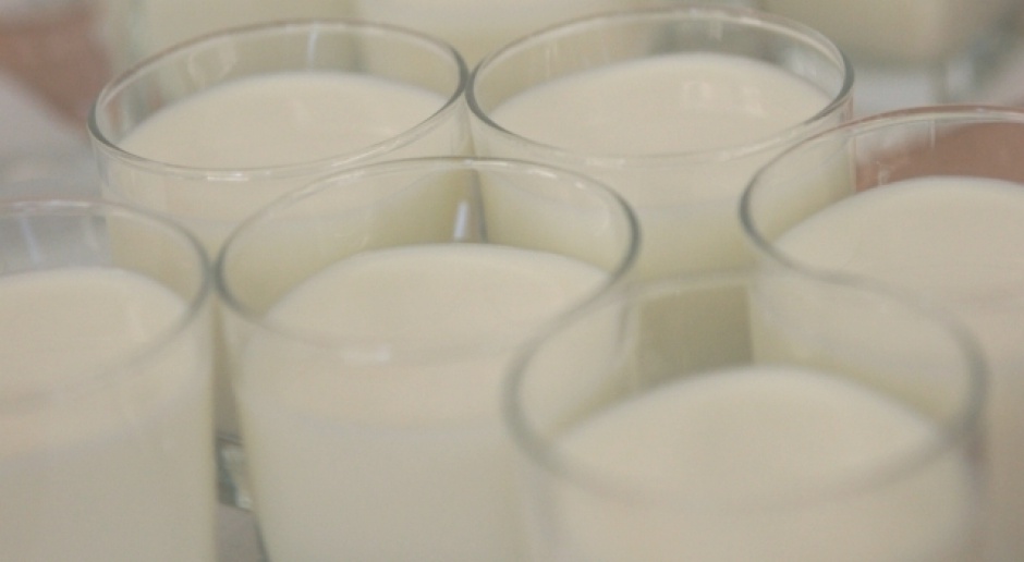 Ministerstwo rolnictwa z pomocą dla producentów mleka