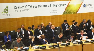 Krzysztof Jurgiel był w Paryżu na posiedzeniu komitetu ds. rolnictwa OECD