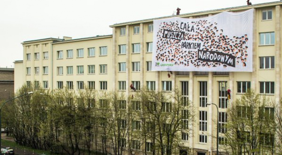 Greenpeace przed Ministerstwem Środowiska: Cała Puszcza Białowieska parkiem narodowym