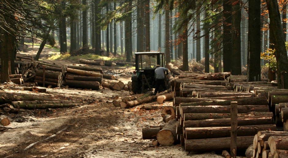 Komisja w Sejmie pozytywnie zaopiniowała projekt kupna ziemi przez Lasy Państwowe