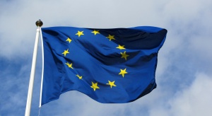 Czy przyszłość UE wymaga jej uelastycznienia?