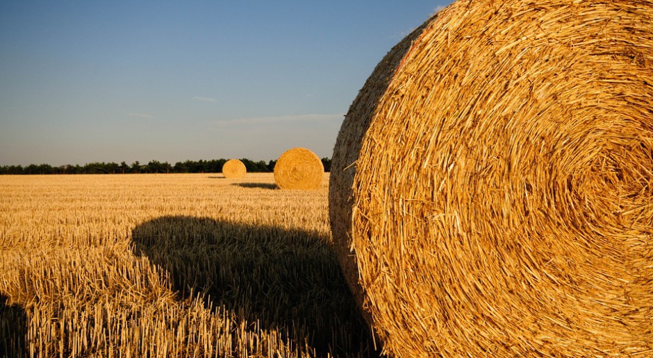 Wiceminister rolnictwa: Ustawa o handlu nie hamuje obrotu polską ziemią