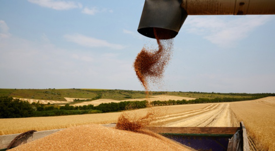 MRiRW zapowiada zwiększoną kontrolę przywozu zbóż