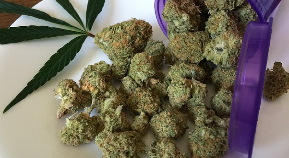 Medyczna marihuana: Posłanka PiS jest za