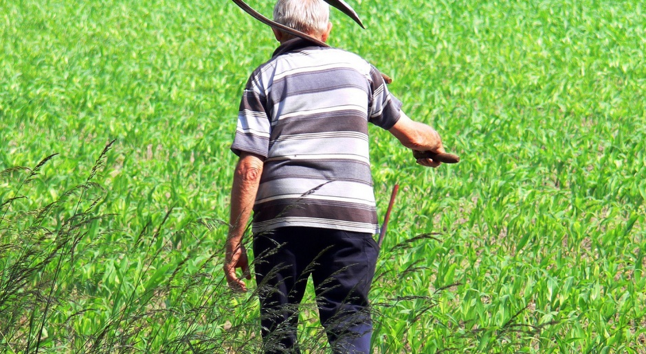Emerytura: PiS chce podnieść wiek emerytalny rolników