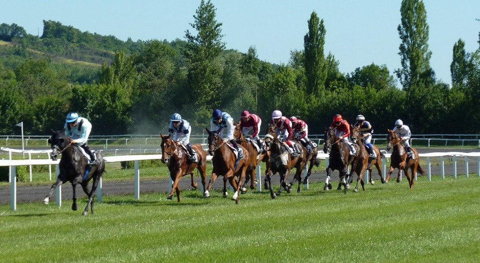 Ministerstwo Rolnictwa: W 2017 Polski Klub Wyścigów Konnych wesprze hodowlę koni wyścigowych