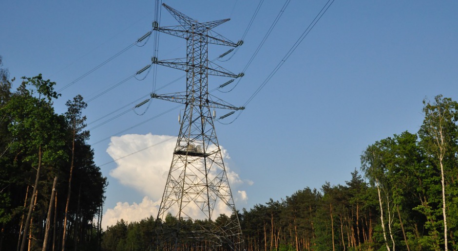 ME: Rząd nie przewiduje znaczących podwyżek cen energii elektrycznej
