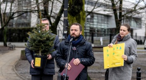 Wycinka drzew: Warszawa chce zmian. Przygotowała projekt nowelizacji ustawy o ochronie przyrody