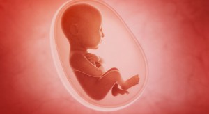 Wróblewski: Przepis zezwalający na aborcję eugeniczną niezgodny z konstytucją