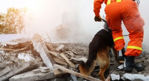W Albanii aresztowania po śmierci 51 osób w trzęsieniu ziemi