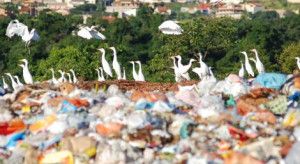 Sejm znowelizował ustawę o odpadach