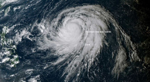 Tragiczny bilans tajfunu Hagibis w Japonii